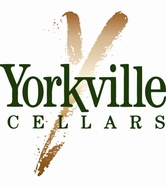 Copy of YCMedLogo 4
